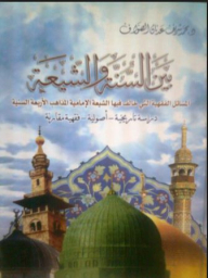 Between Sunnis And Shiites: Doctrinal Issues In Which The Imami Shiites Differed From The Four Sunni Schools