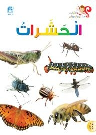 الحشرات (أسئلتي وأجوبتي الأولى)