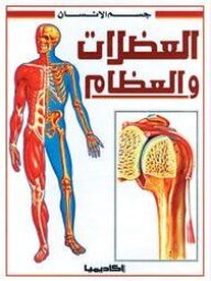 Muscles And Bones (the Human Body Series)