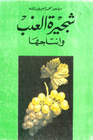 شجيرة العنب وإنتاجها