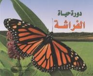 Life Cycle Series: Butterfly Life Cycle