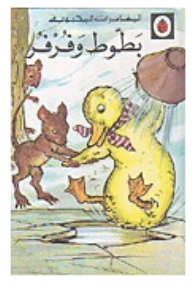 The Beloved Adventures Of Ducks And Ferrets