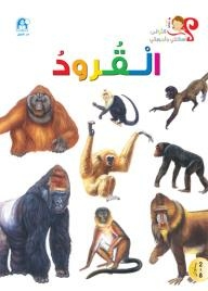 Monkeys (my First Questions And Answers)