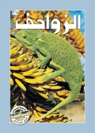 الزواحف (حيوانات مدهشة في العالم)