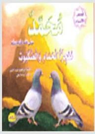 Stories Of The Prophets Series - Muhammad - May God Bless Him And Grant Him Peace - The Miracle Of The Pigeon And The Spider