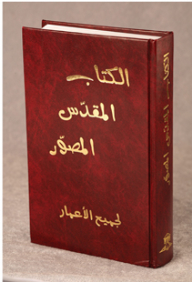 Illustrated Bible For All Ages