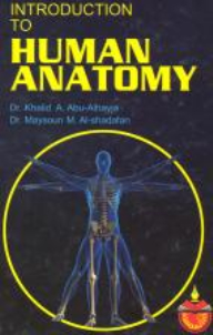 Introduction To Human Anatomy
