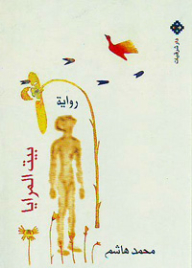 بيت المرايا