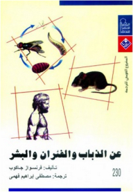 About Flies - Mice And Humans