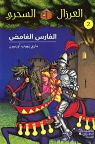 The Magical Seer: The Mysterious Knight