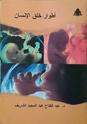Phases Of Human Creation