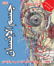 جسم الإنسان