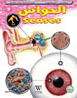 Senses