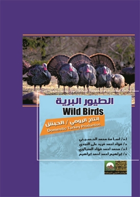 الطيور البرية- انتاج الرومي