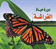 Butterfly Life Cycle
