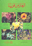 أزهار من قورينا