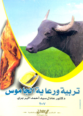 Buffalo Breeding And Care