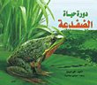 Frog Life Cycle