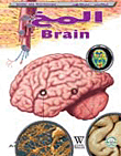 The Brain