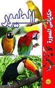 الطيور