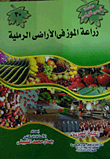 زراعة الموز فى الأراضى الرملية