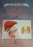 الهرمونات فى جسم الإنسان