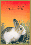 Raising Rabbits At Home