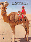 Purebred Arabian Camels