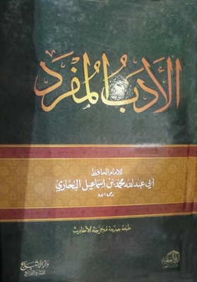 Singular Literature