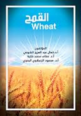 Wheat