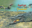 Crocodile Life Cycle