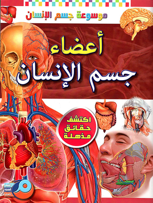 Human Organs