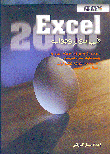 Excel 2000 In Question And Answer