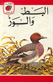 Ducks And Geese