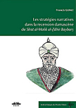 Les stratégies narratives dans la recension damascène de Sirât al - Malik al - Zahir Baybars