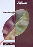 Lebanon's Environment - A Lost Wealth