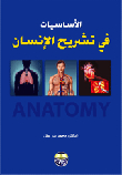 The Basics Of Human Anatomy