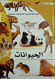 The Illustrated Encyclopedia Of Amazing Animals