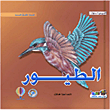 الطيور