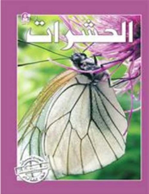 Insects