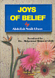 Joys Of Belief