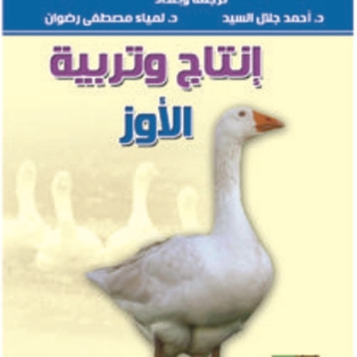 Geese Production And Breeding