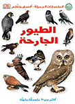 Wild Birds