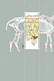 منتصف الحجرات