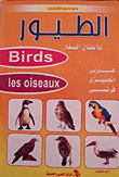 الطيور... للأطفال الصغار (عربى- إنجليزى- فرنسى)
