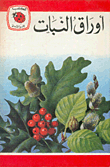 Plant Leaves