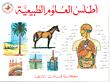 Atlas Of Natural Sciences