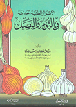 Modern Medical Secrets In Garlic And Onions