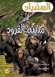 Sinbad In The City Of Monkeys
