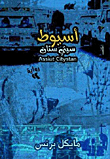 Assiut City Stan